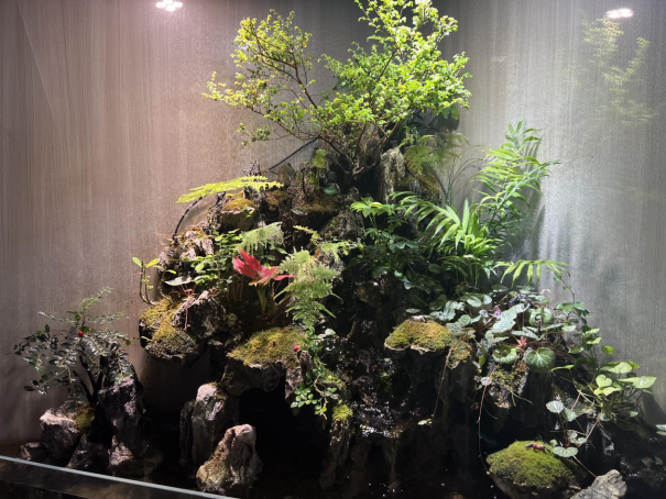春暖花開(kāi)，物業(yè)客服前臺(tái)綠植養(yǎng)護(hù)日記